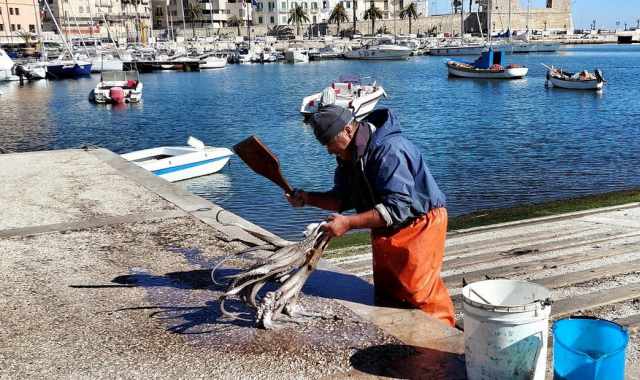 Calafatre, rattapte, varcheceddre: sono gli antichi mestieri "di mare" baresi